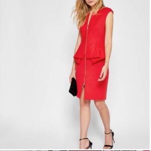 Ted Baker Dress Ted size 4 US 10 Long Zipper Orange in color